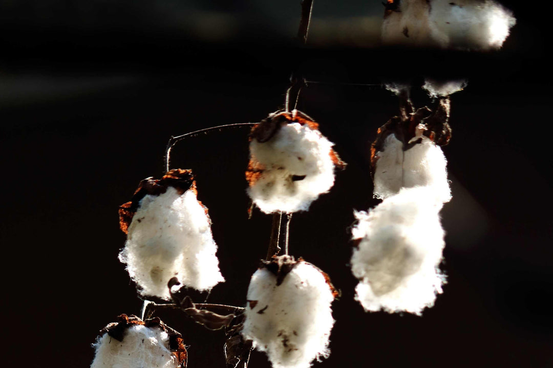 Saving the planet with sustainable fabrics: is your closet green?