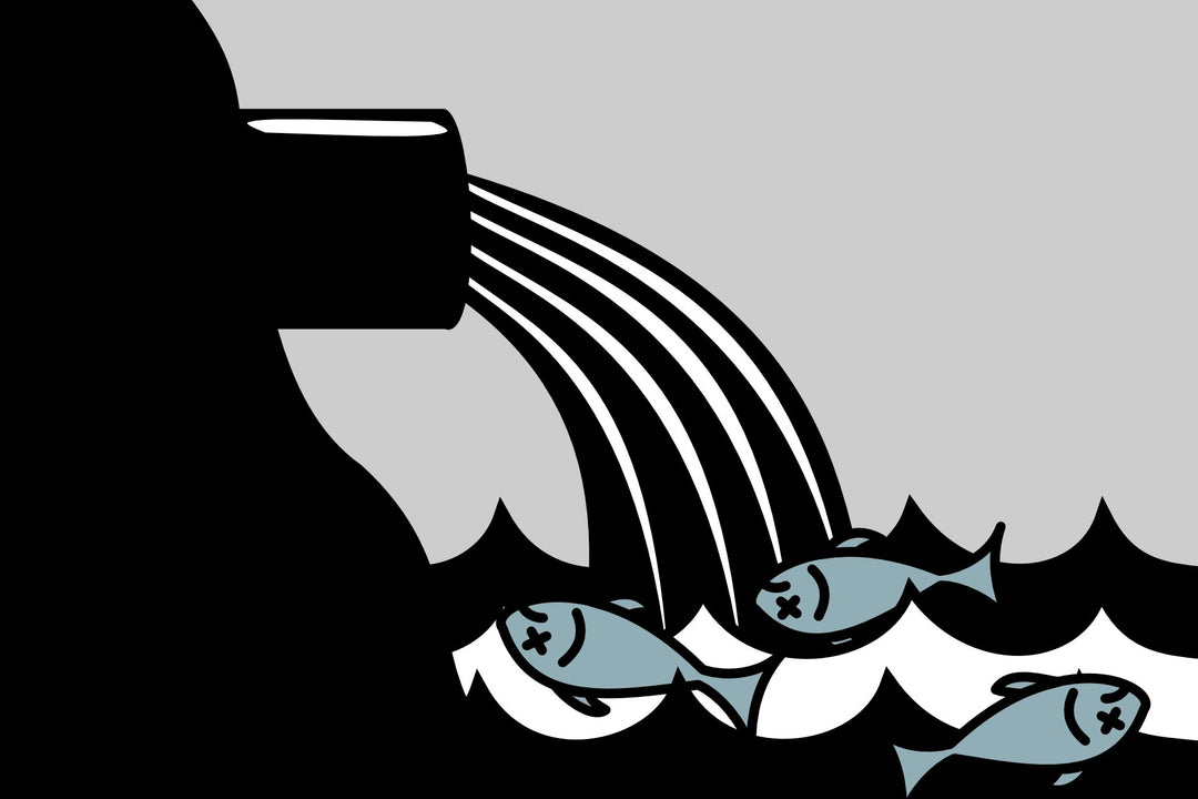 Did you know? 35% of all microplastics in the ocean come from the laundering of synthetic fibres