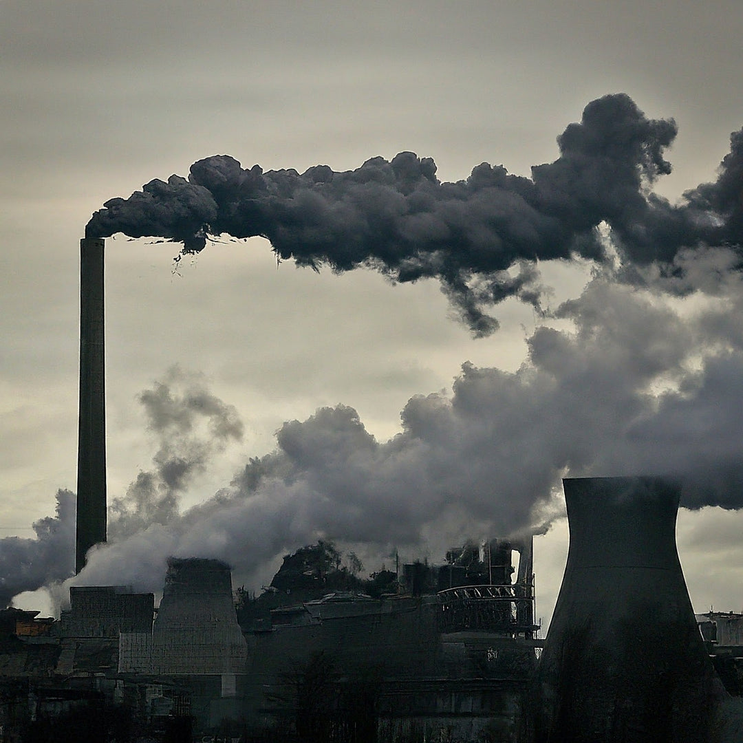 Did You Know? The Fashion Industry Currently Makes Up 10% of Humanity’s Carbon Emissions