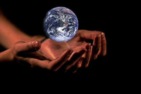 The Fashion Industry’s Initiatives Towards Tackling Climate Change